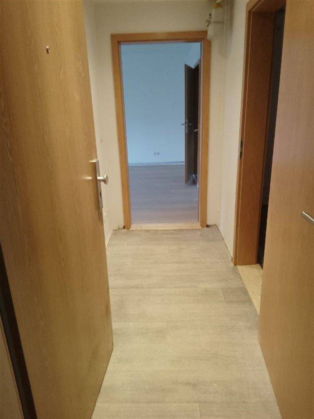 image-72593137