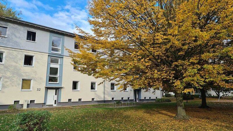 Traumwohnung in Traumlage, 44263 Dortmund (Hörde Mitte Schüren)
