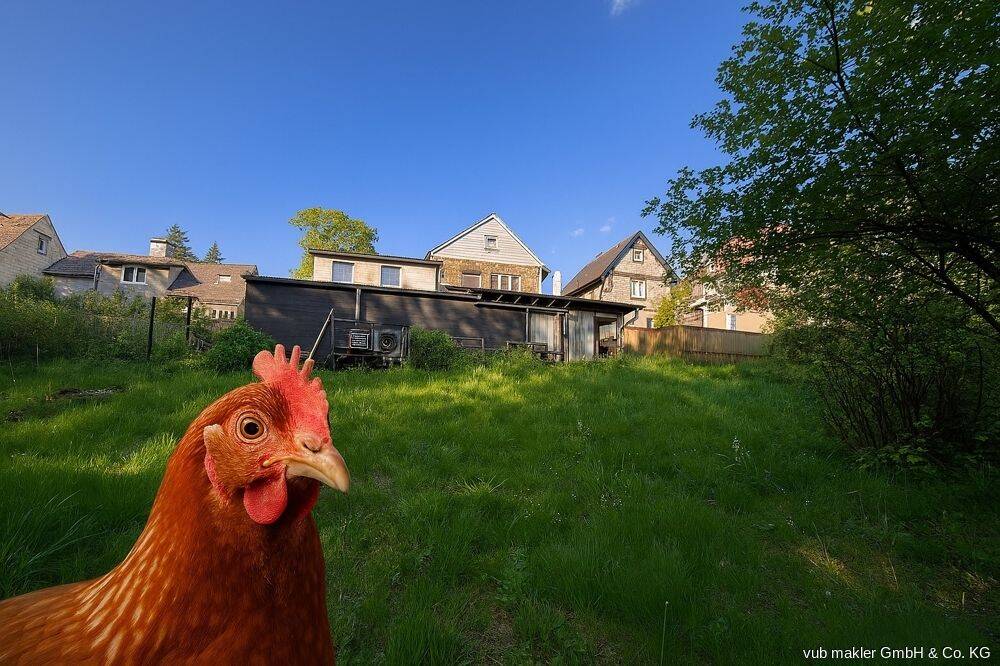 Idyllisches Anwesen für Kleintierhaltung in Zell: Ideal für Ihre tierischen Begleiter, 95239 Zell im Fichtelgebirge
