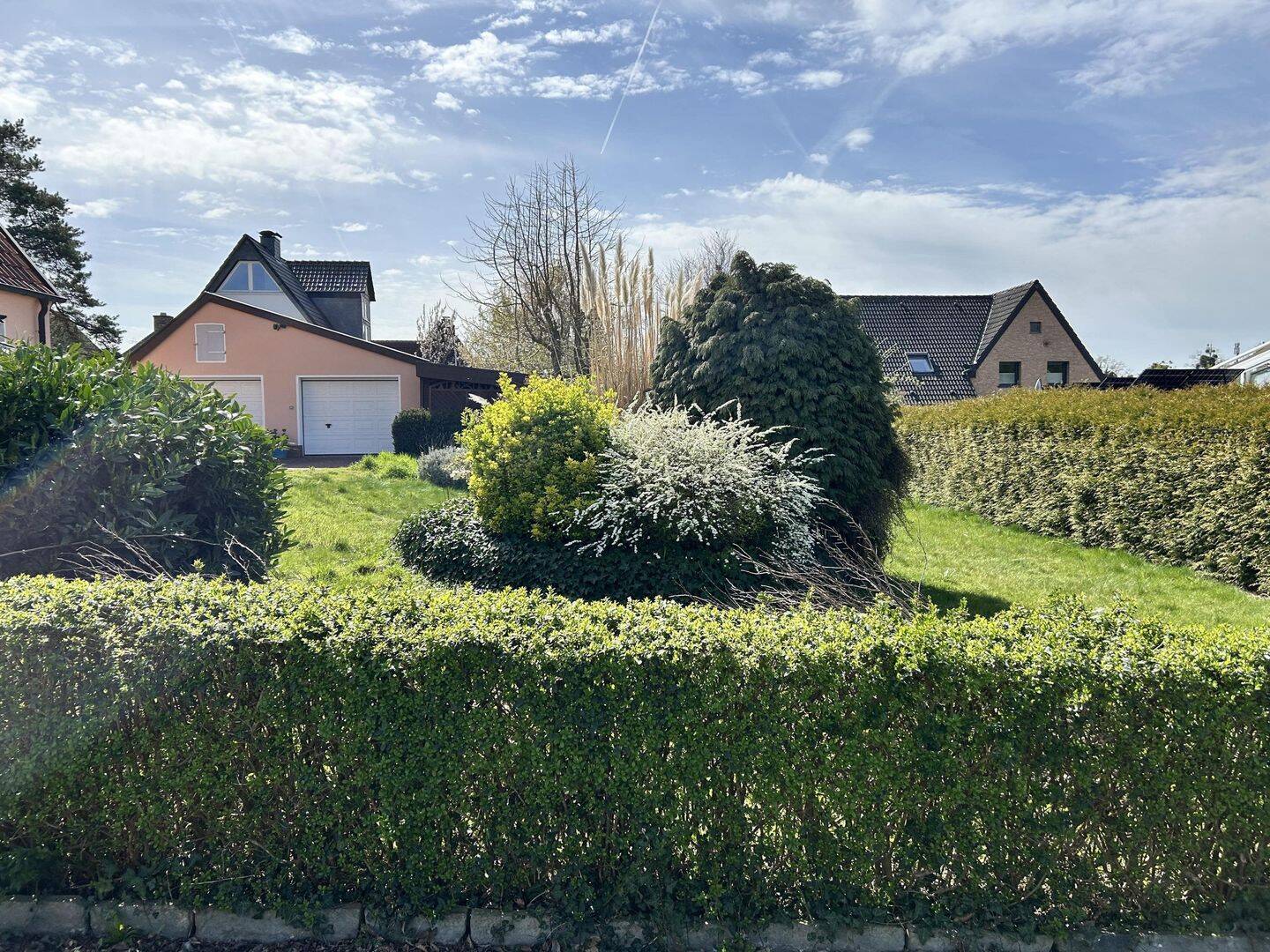 image-72474734