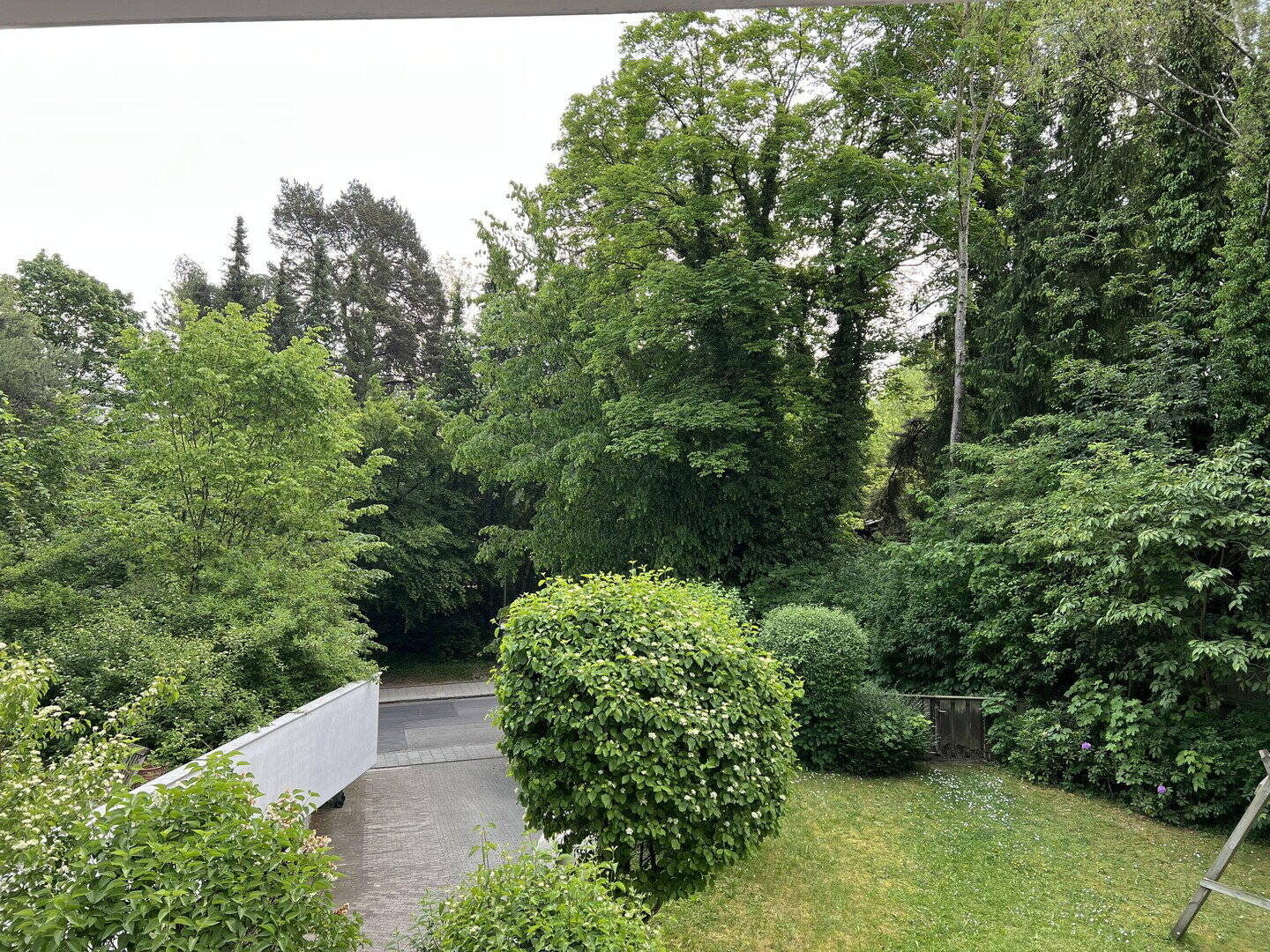 image-72634786