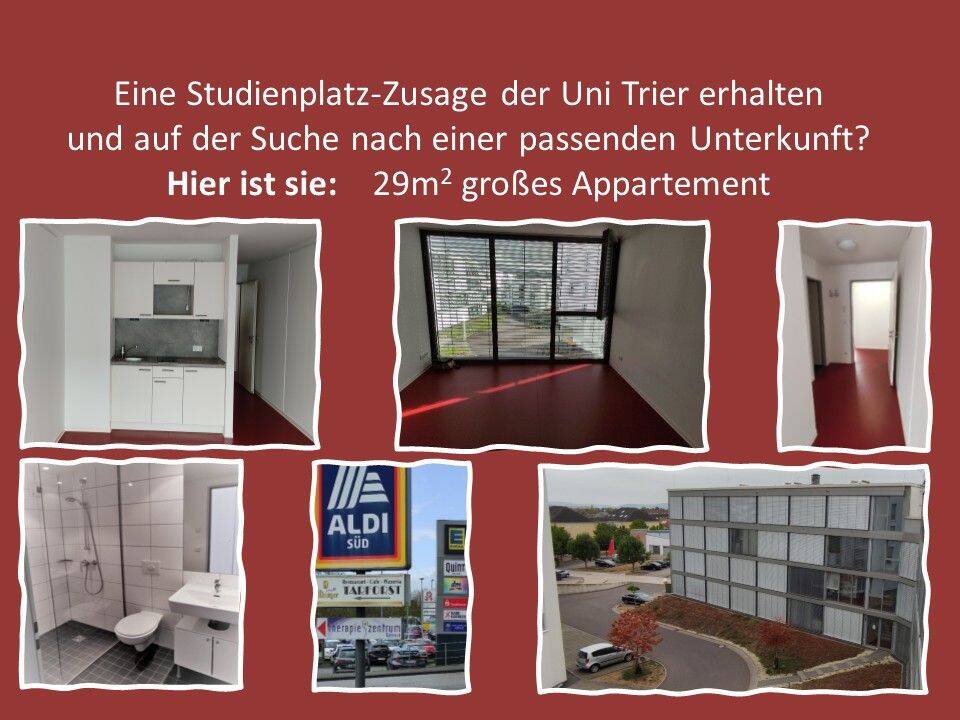 Appartement in Trierer Uni-Nähe für Studenten (m/w/d), 54296 Trier