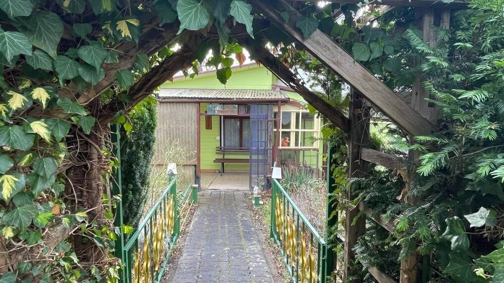 image-72686550