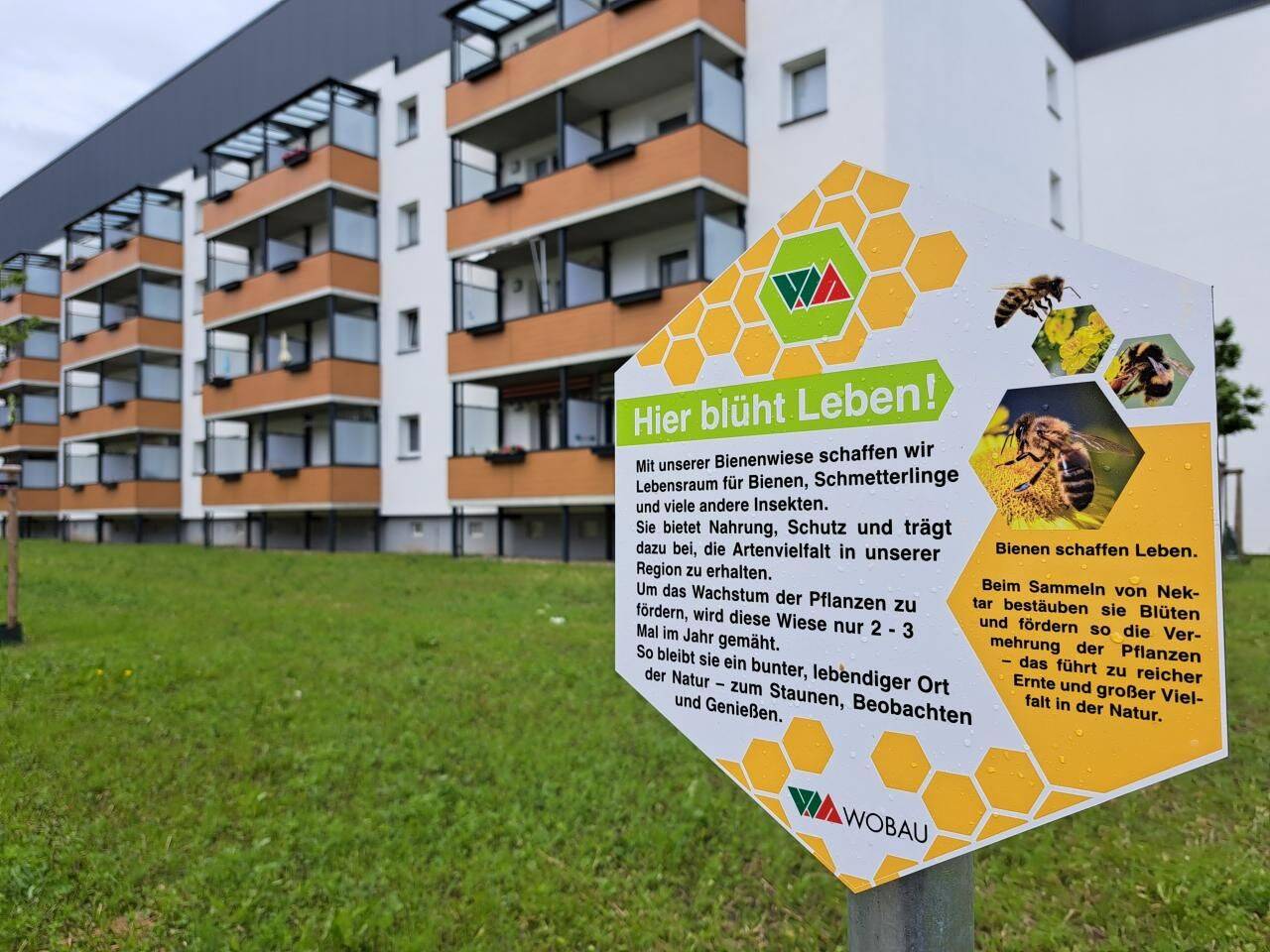 Wohnen im Stadtteil Sudenburg bezugsfertige Wohnung, 39116 Magdeburg (Beyendorfer Grund Lemsdorf Ottersleben Sudenburg)