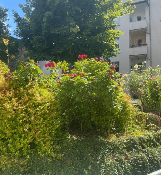 Individuelle 5 1/2-Raum-ETW mit großer Balkon-Terrasse, 58089 Hagen