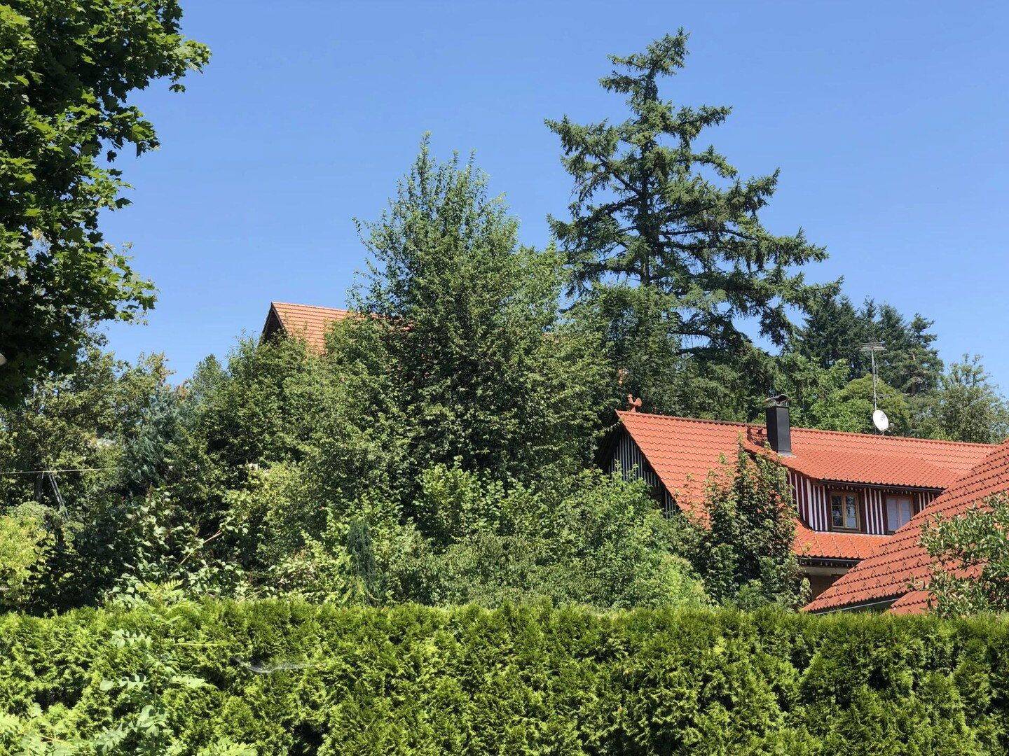 Sonnige Zweibettzimmer mit Balkon zwischen Lindau-Ravensburg-Wangen-Tettnang, 88099 Neukirch