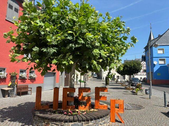 Single Wohnung im Weinort Lieser, 54470 Lieser
