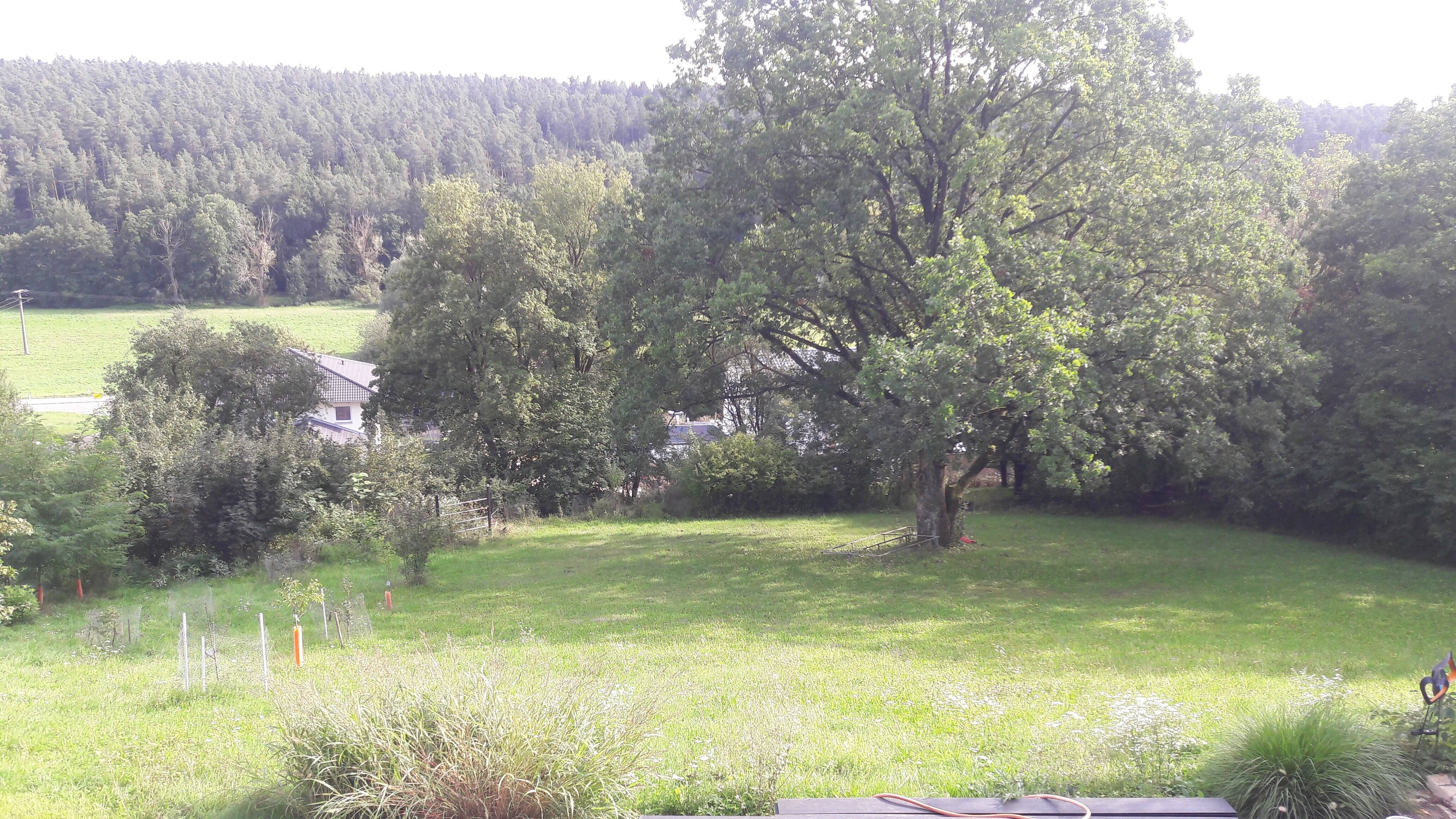Wohnen im Grünen, 90599 Dietenhofen
