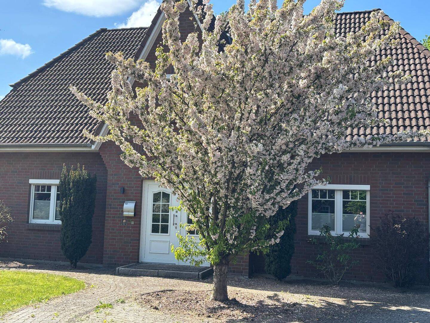 Modernisiertes Einfamilienhaus mit 6 Zimmern und Carport in Barum, 21357 Barum