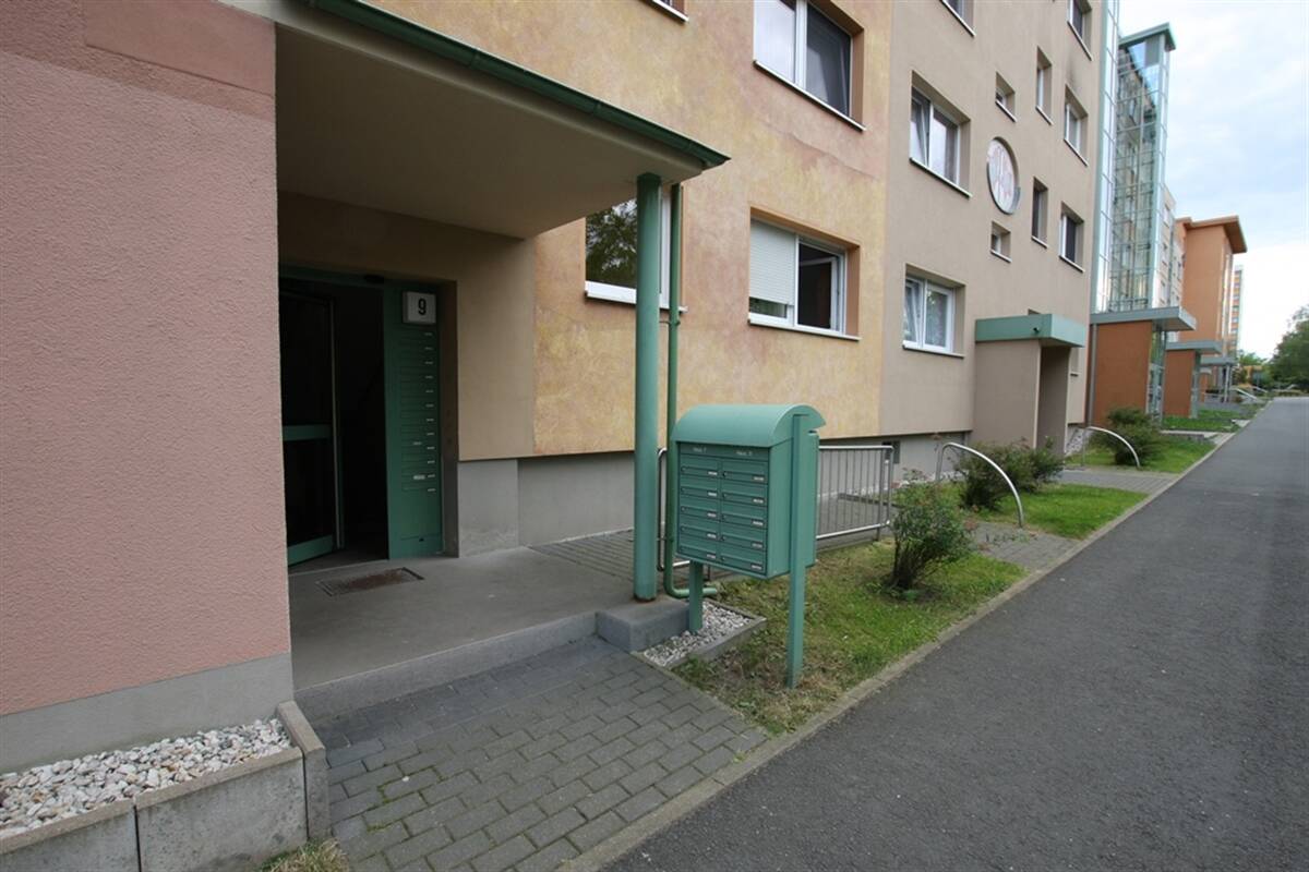 image-72746991
