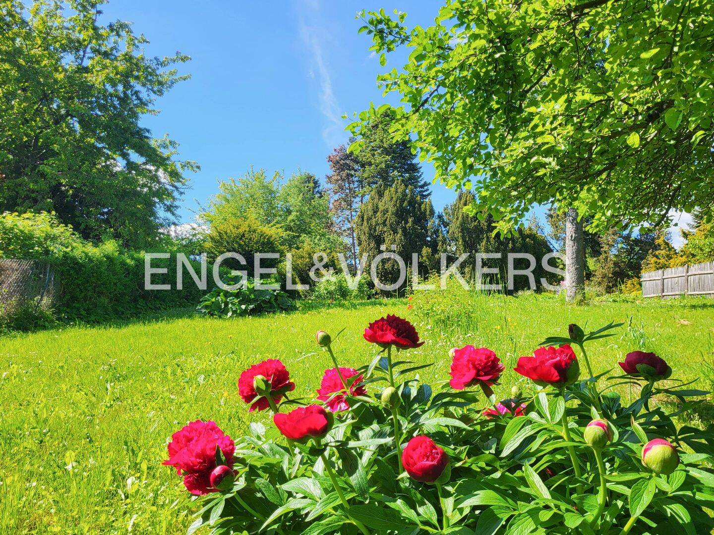 Naturparadies in Ehringsdorf – Gartentraum auf 2.515 m², 99425 Weimar