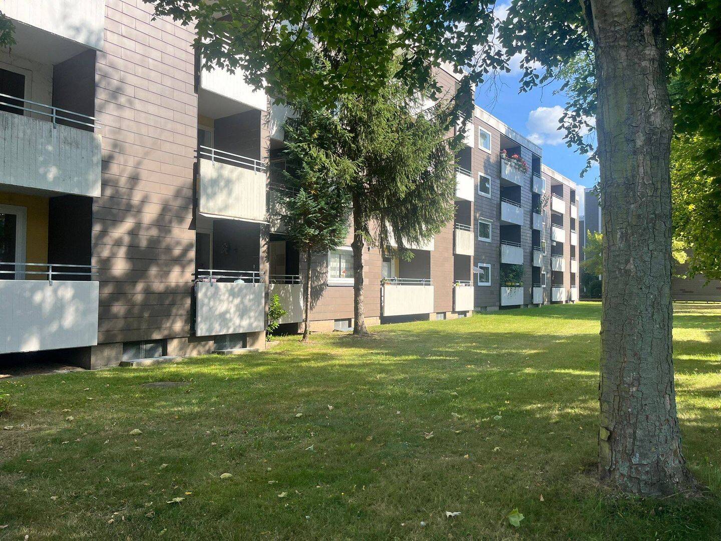 image-72502014