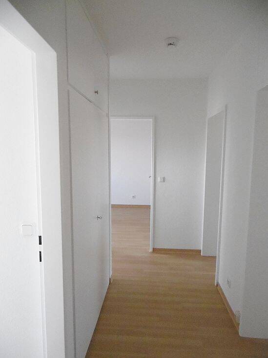 image-72773369