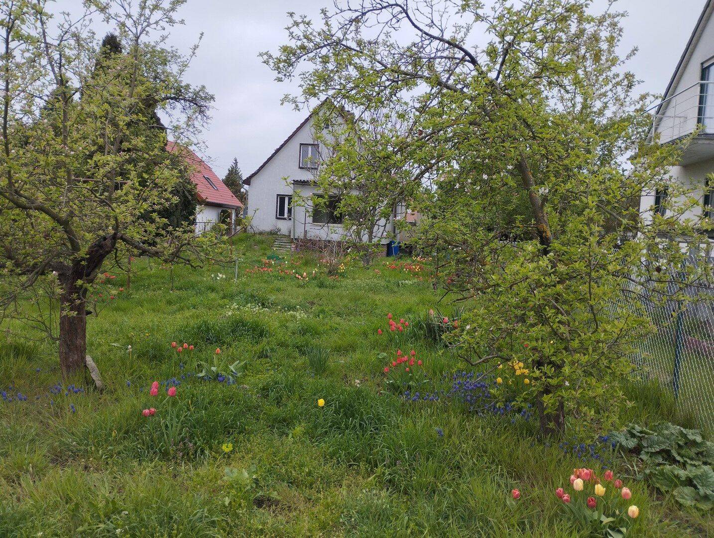 Einfamilienhaus Grundstück 1019m2, 12623 Berlin (Marzahn-Hellersdorf Kaulsdorf Mahlsdorf)