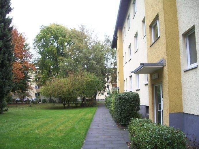 image-72674733