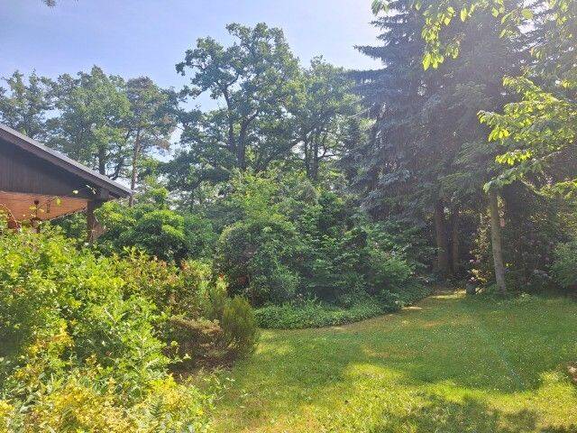 3.400 m² Glück in Machern: Bauen und Wohnen auf sonniger Himmelswiese an eigenem Wald, 4827 Machern