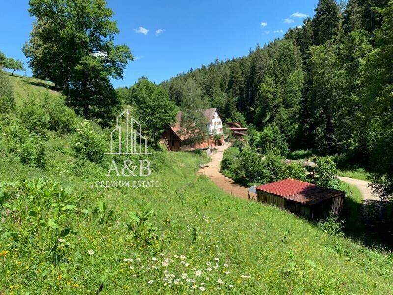 ** Ehemalige Getreidemühle mit eigener Wasserkraft – Einzigartiges Liebhaberobjekt **, 72202 Nagold
