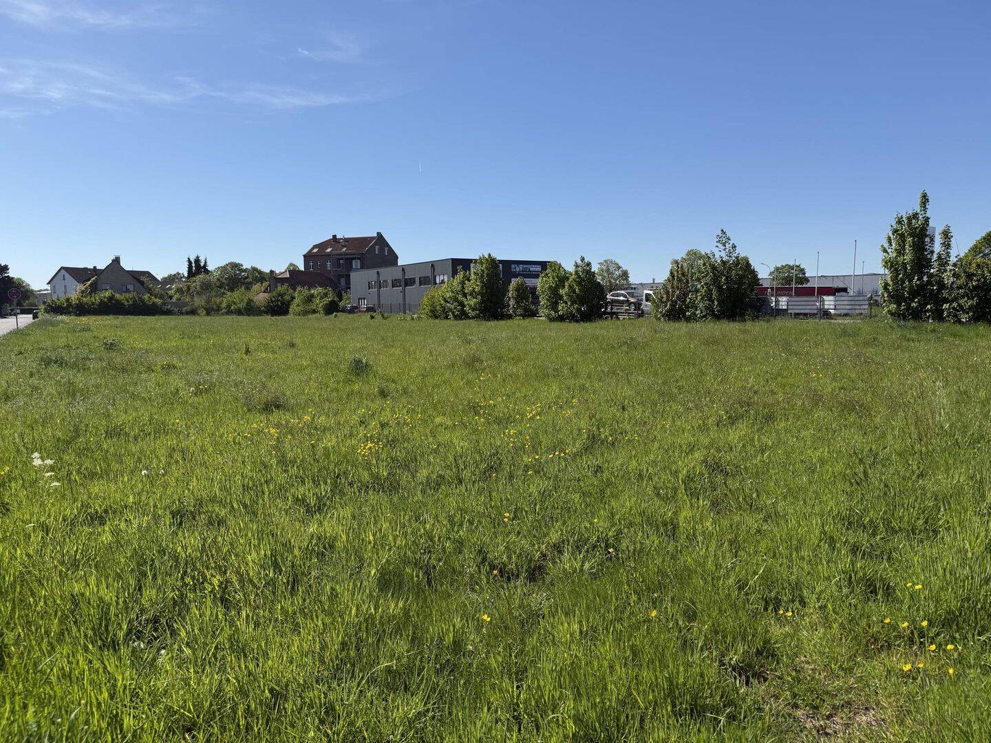 image-72546531