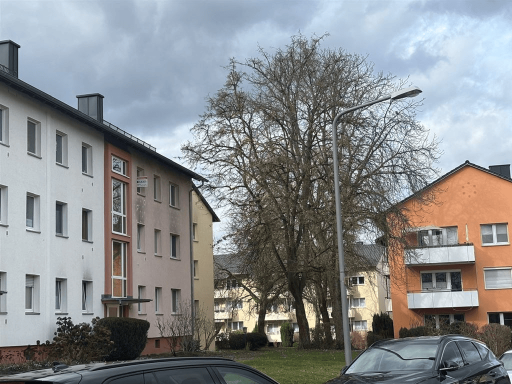 image-72846147