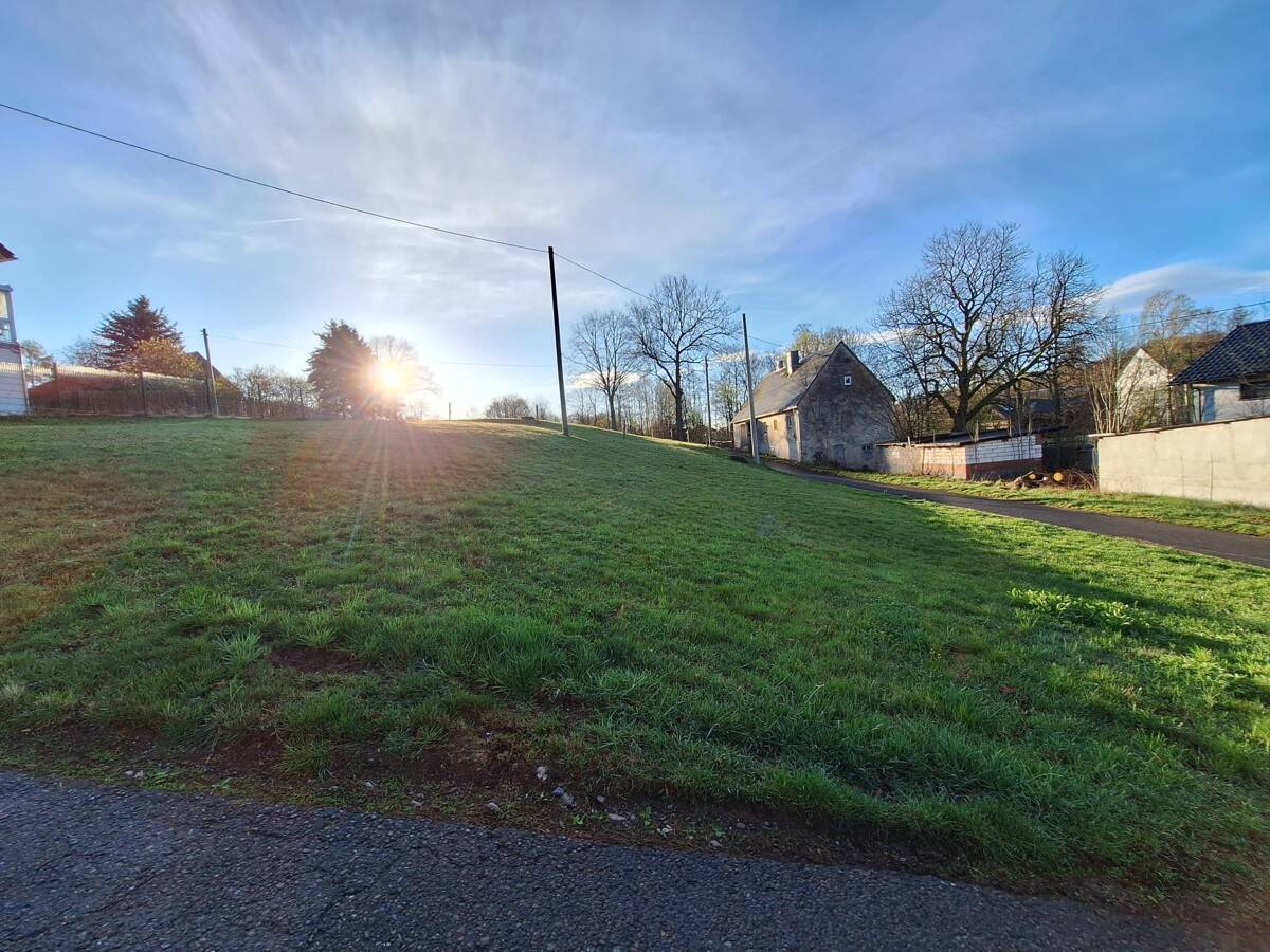 image-71989373
