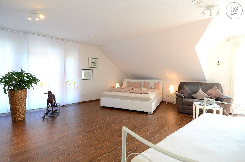 Schönes 1-Zimmer-Apartment in Wehr mit toller Aussicht, möbliert, 79664 Wehr