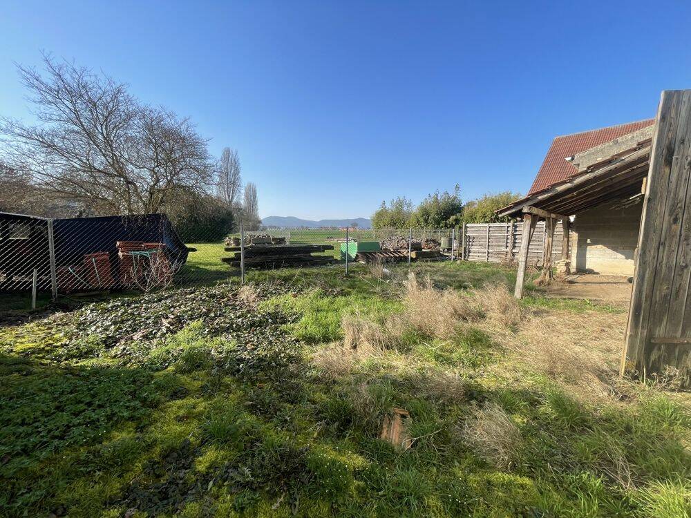 Einfamilienhaus mit Scheune in Feldrandlage, 67483 Kleinfischlingen