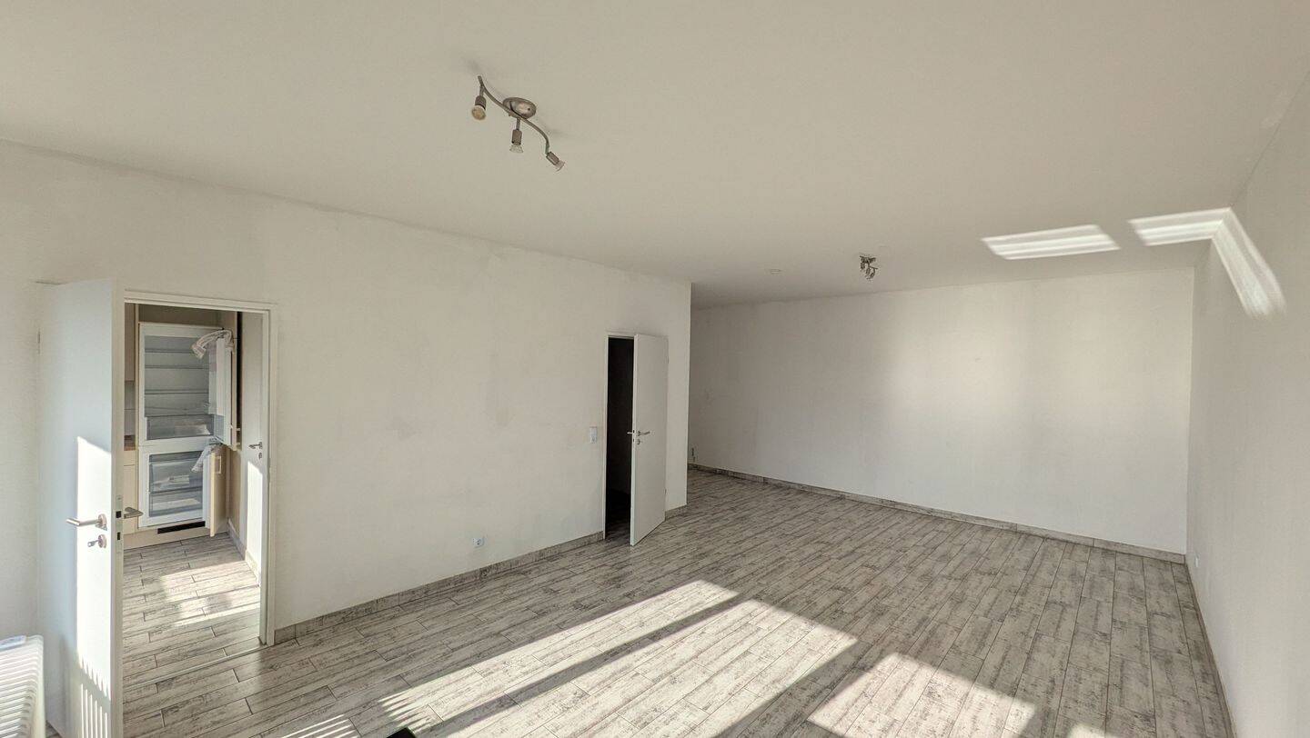 image-72341231