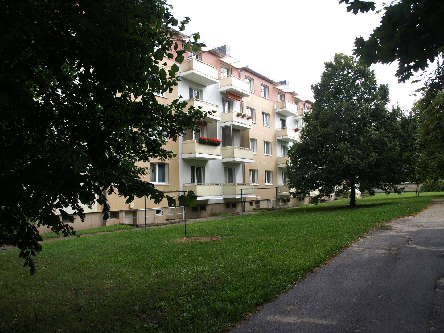 image-72553514