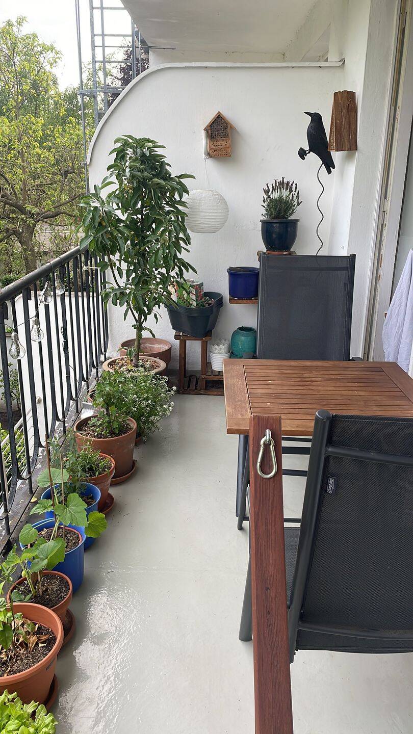 Am Zoopark! Gepflegte 2-Zimmer-Wohnung mit Balkon, 40239 Düsseldorf (Düsseltal Mörsenbroich)