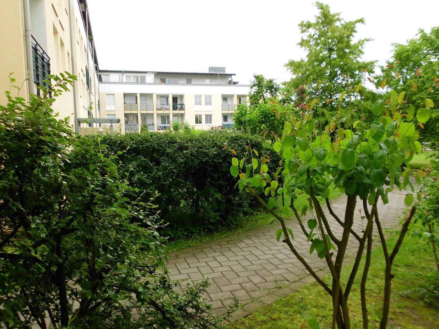 image-72751208