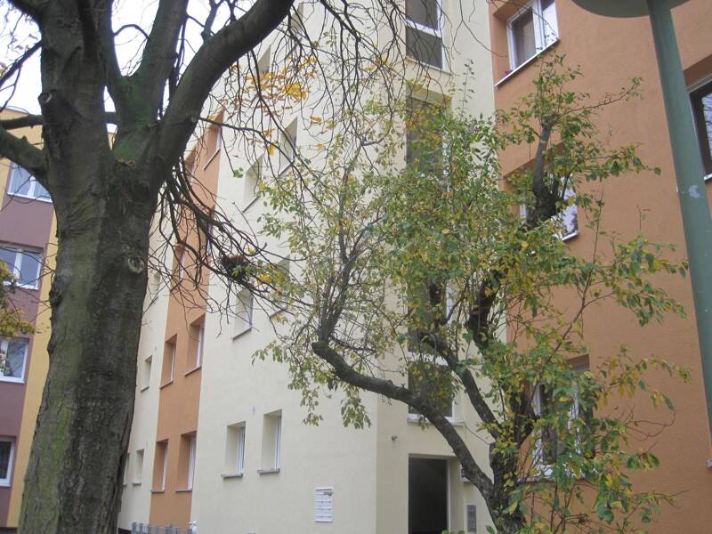 image-72654336