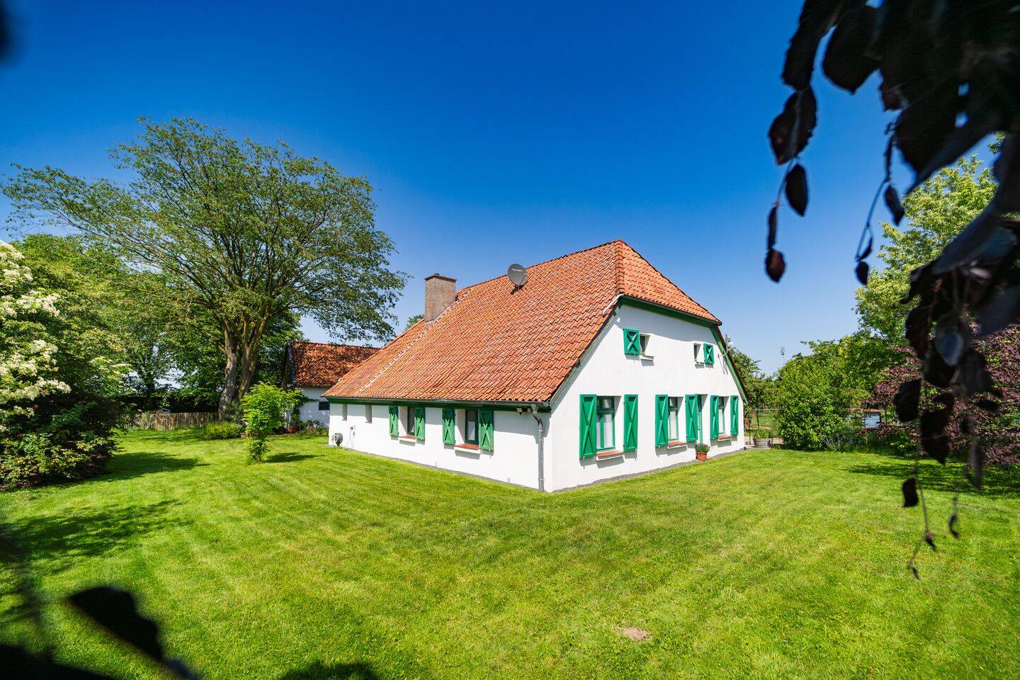 Ein Stück Niederrhein in seiner schönsten Form -absolute Alleinlage, wo die Nachbarn die Schafe sind, 47551 Bedburg-Hau