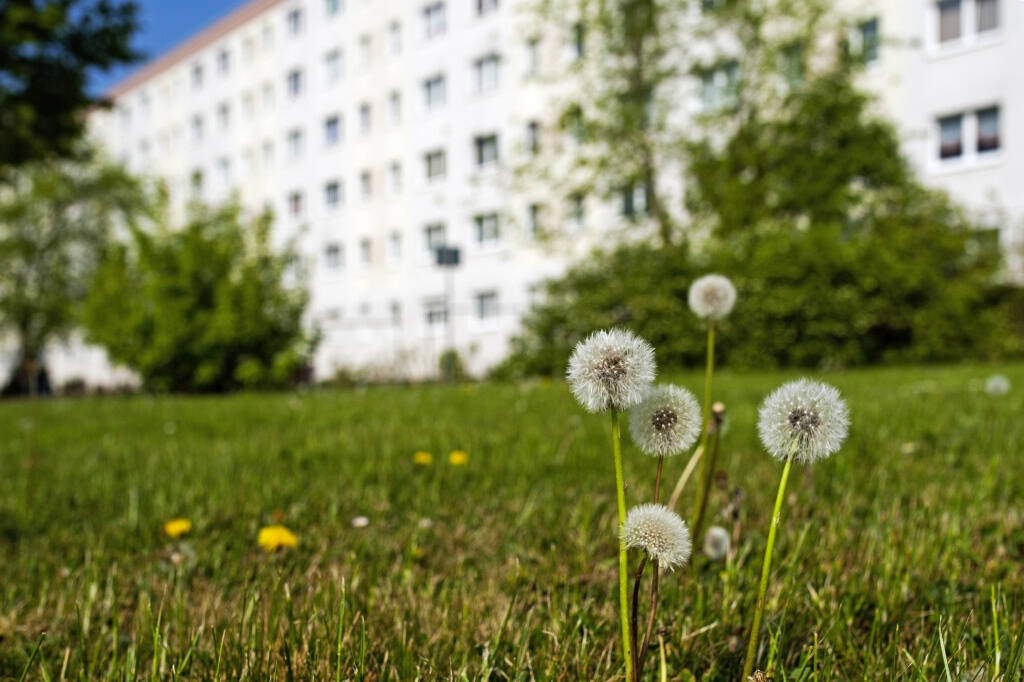 Studentenbude im Blumenviertel – Ab September 2026, 6122 Halle (Saale) (Nietleben Nördliche Neustadt Saaleaue)