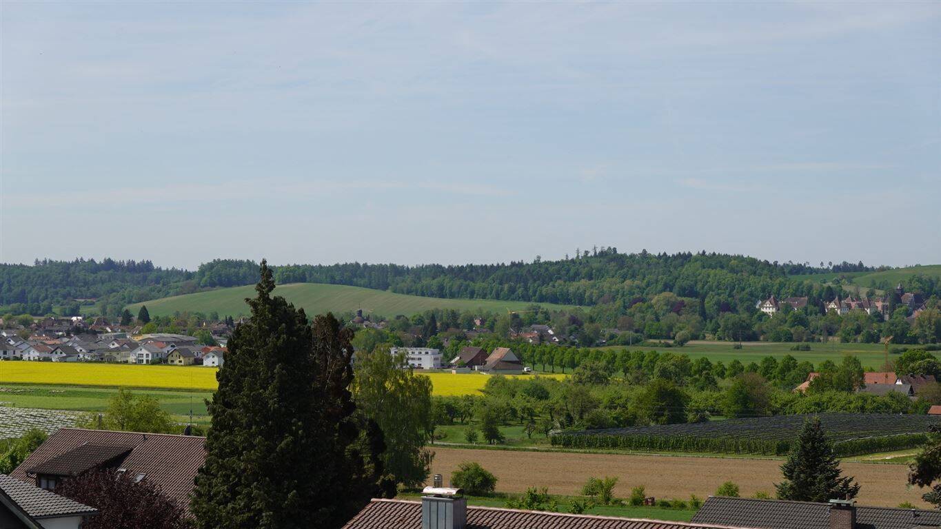 image-72661705