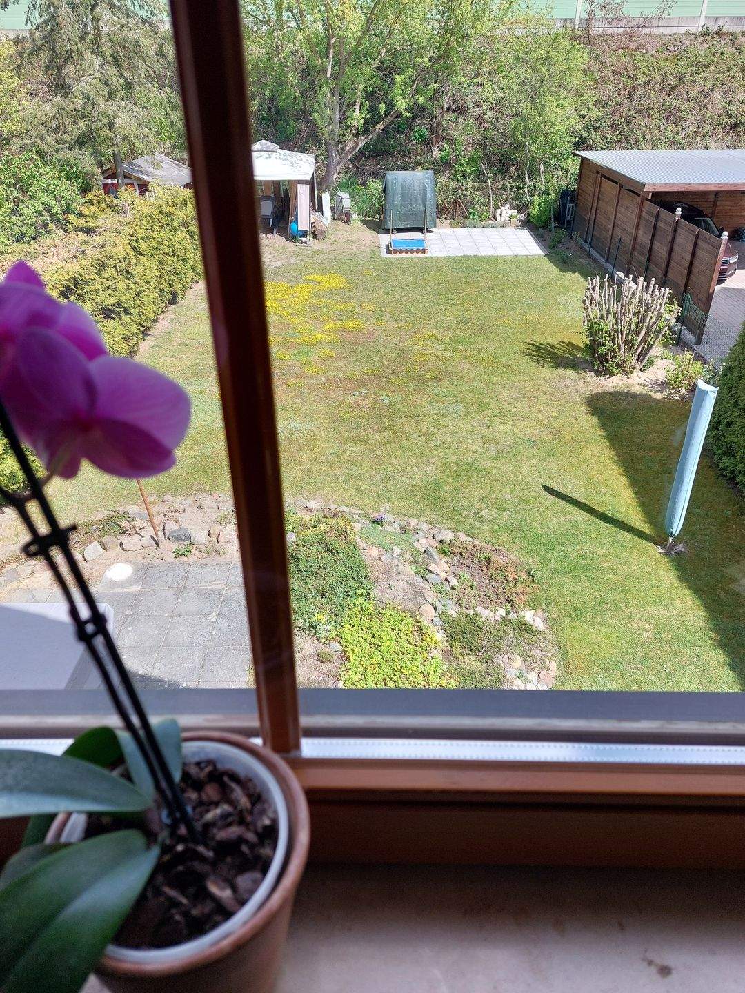 image-72550908