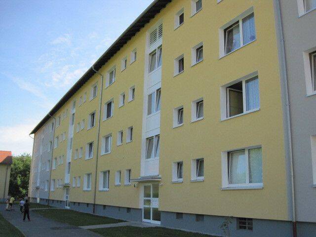 image-72565948