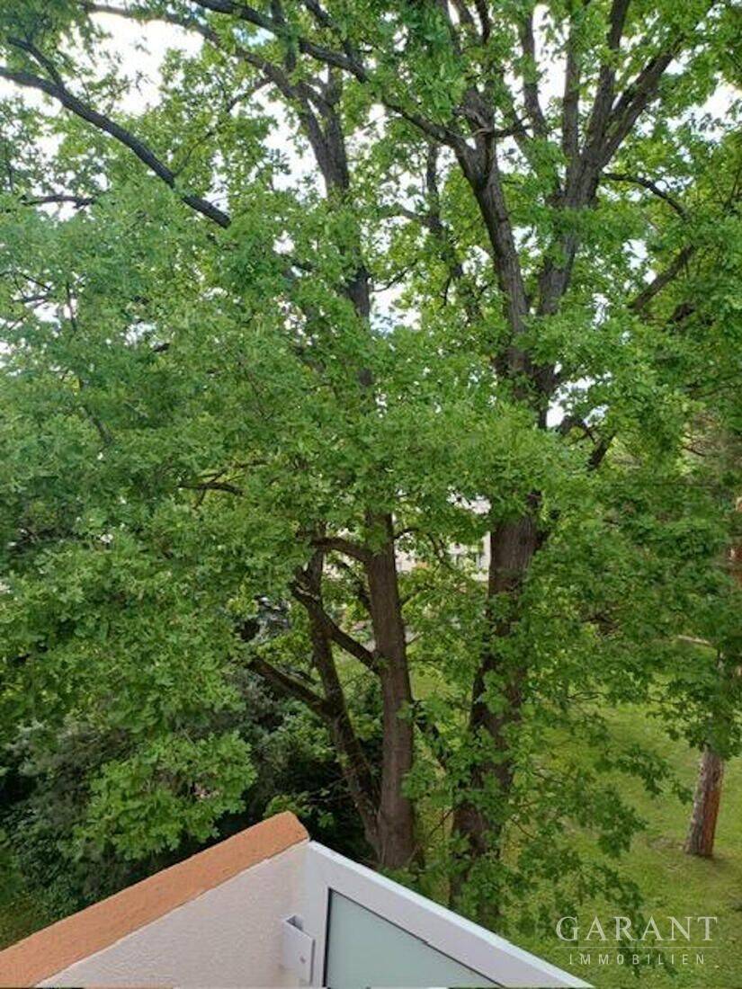 *** Idyllisches Familienglück im Grünen: 5 Zimmer-Wohnung in Mannheim-Gartenstadt ***, 68305 Mannheim (Gartenstadt Luzenberg Waldhof)