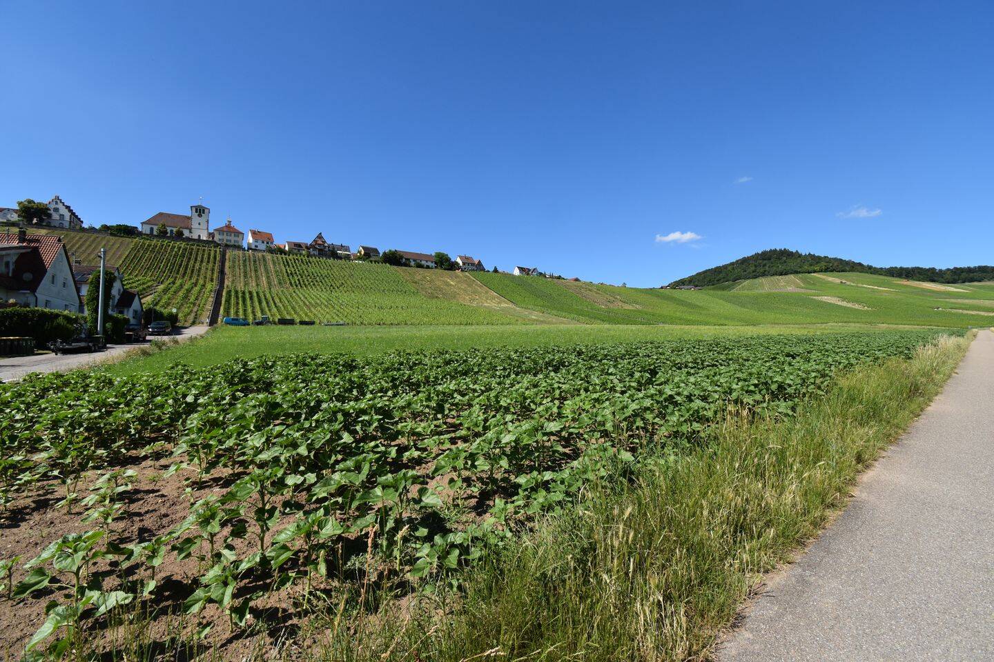 Wohnen unterhalb vom Weinberg, 74343 Sachsenheim
