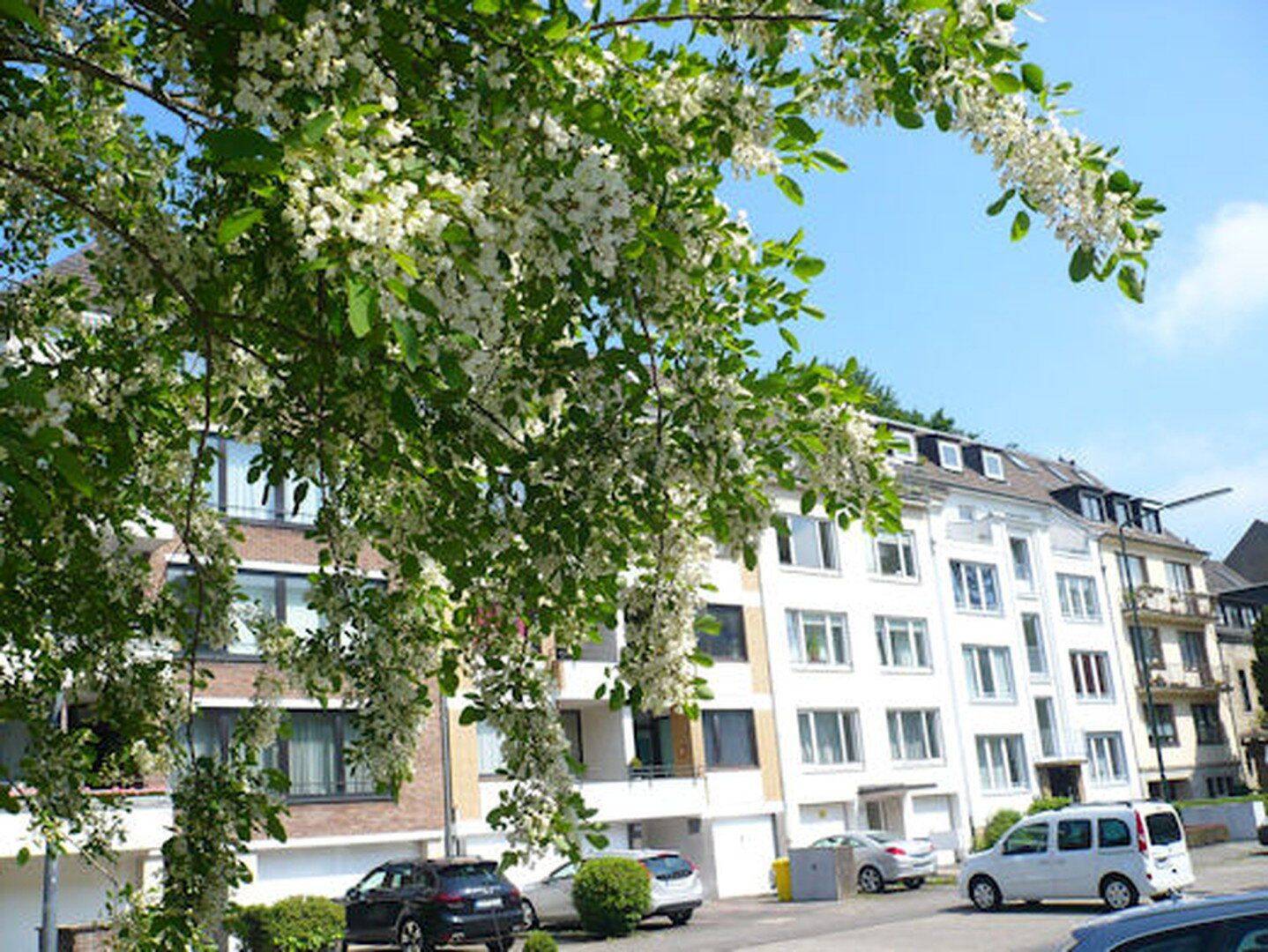 Traumwohnung D-Zoo 1,5-Zimmer KDB, Grunerstr. 2 Balkone, 40239 Düsseldorf (Düsseltal Mörsenbroich)