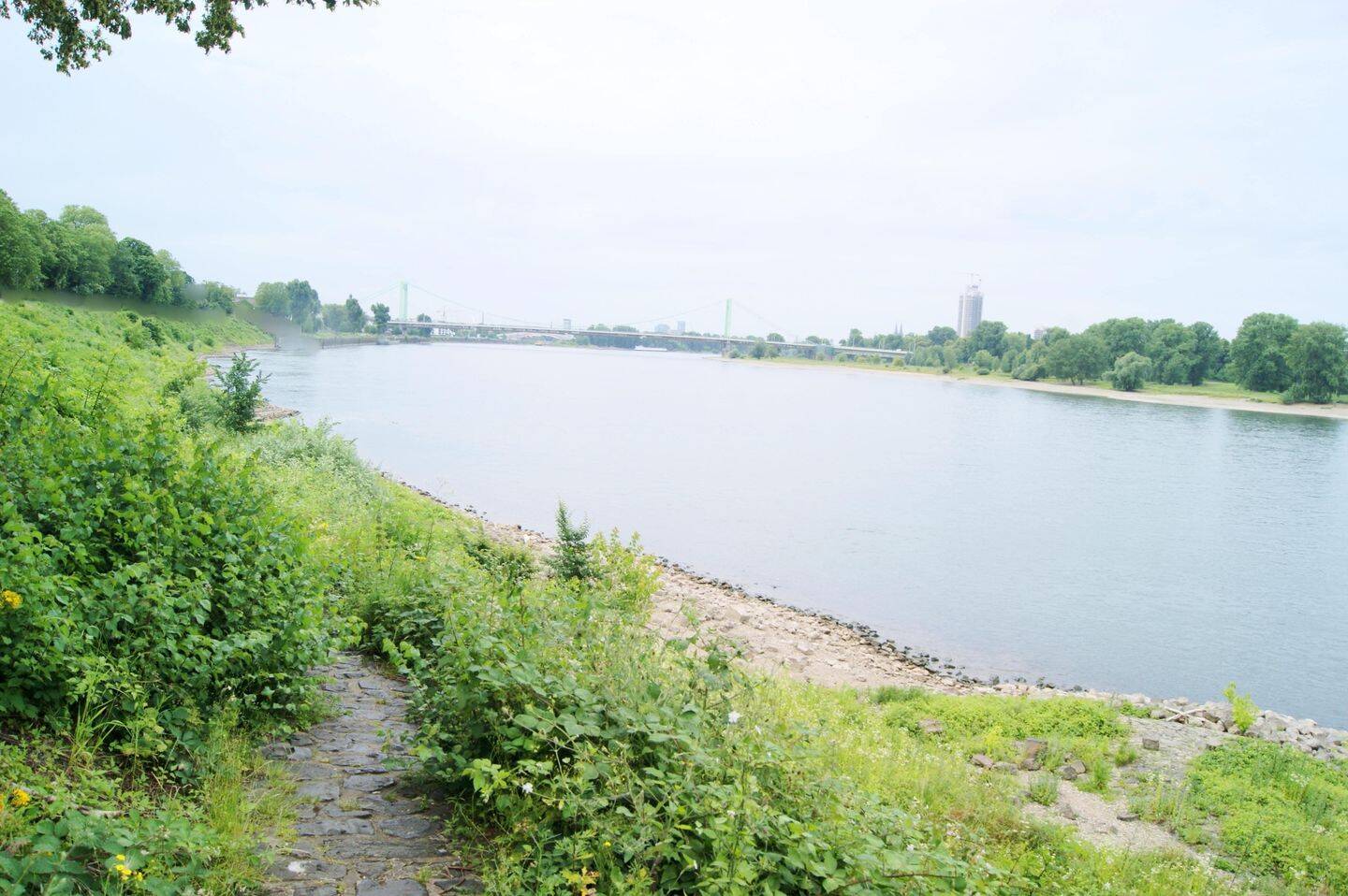 Mit dem Rhein direkt vor der Haustür!, 51063 Köln (Mülheim Buchheim Stammheim)