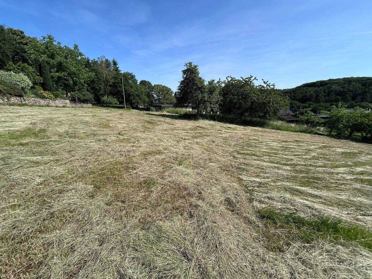 Attraktives Baugrundstück, optional ca. 6.832 m² Wiese direkt angrenzend in Oberhosenbach, 55758 Oberhosenbach