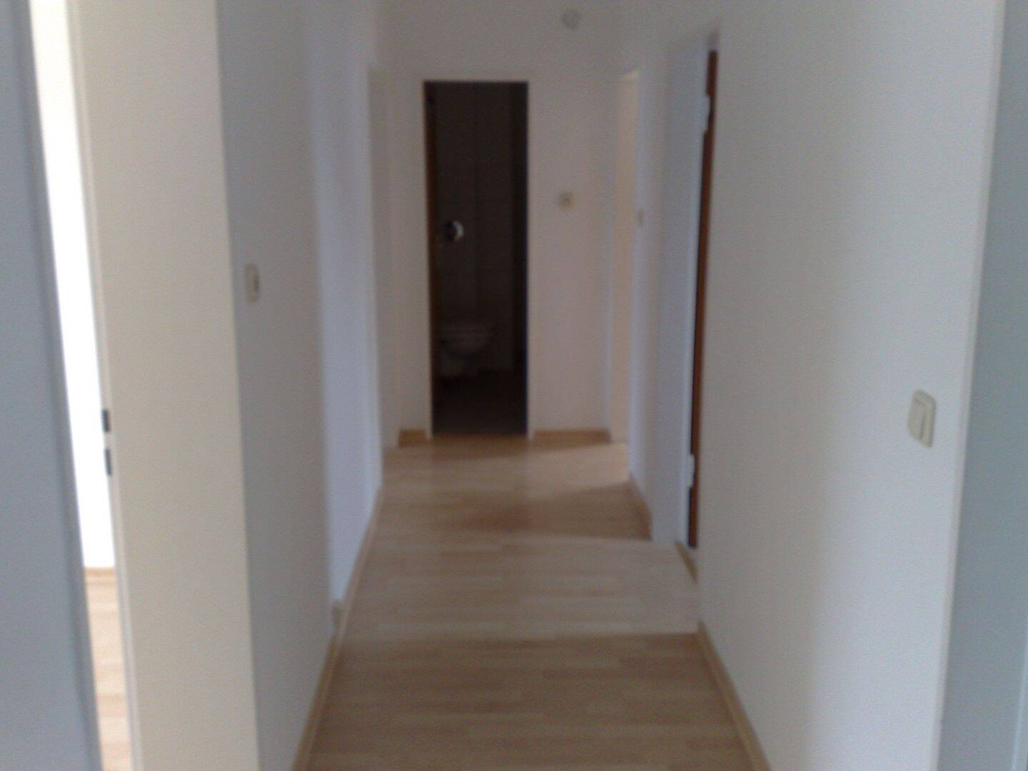 image-72867954