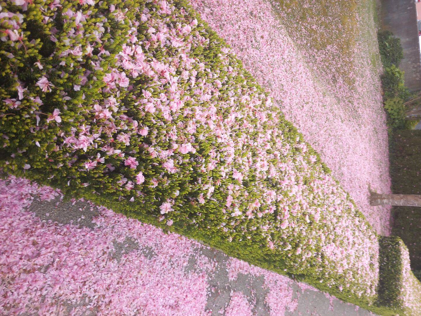 image-72993073