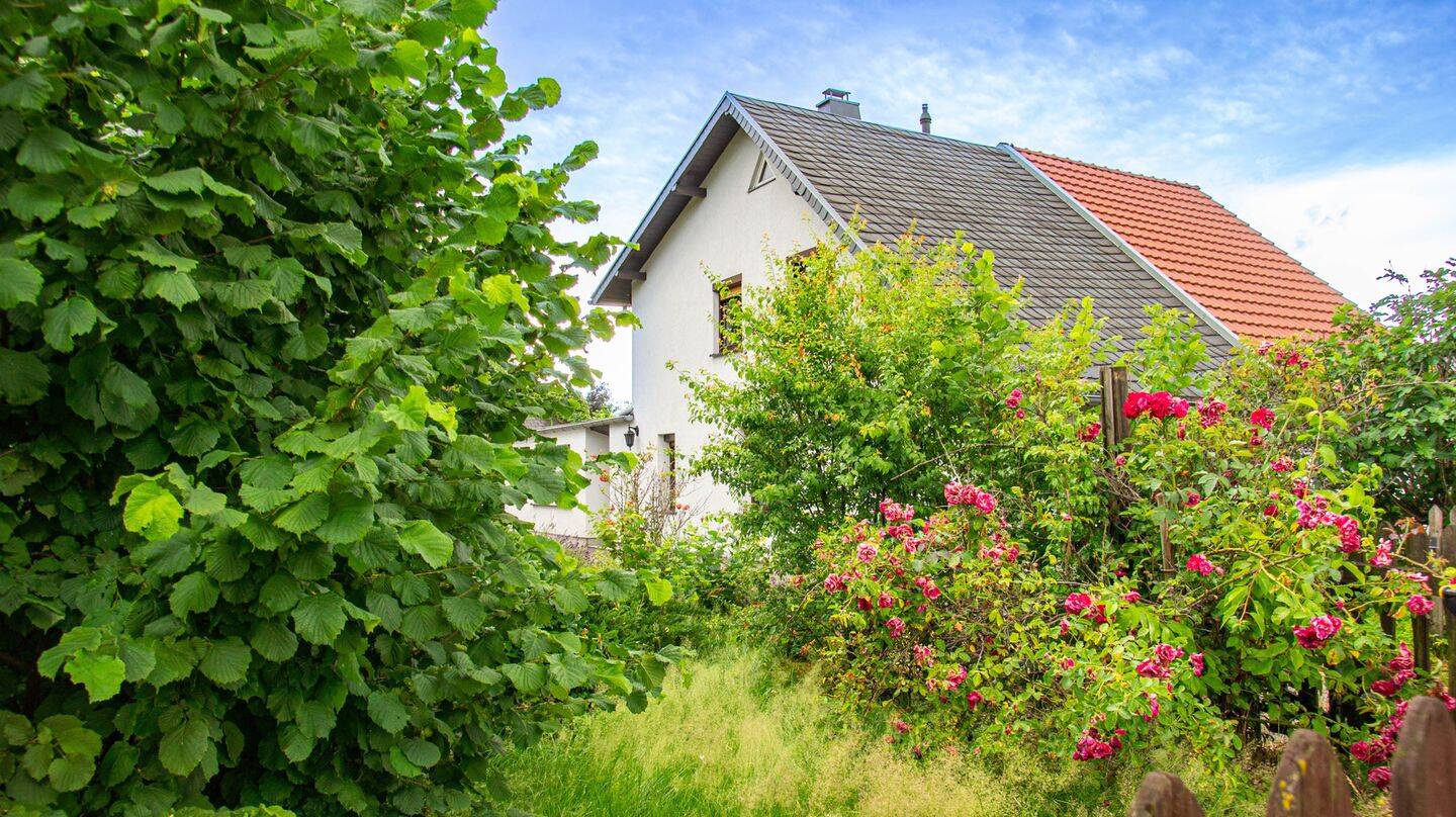 Rosen & Lavendel, 9232 Hartmannsdorf