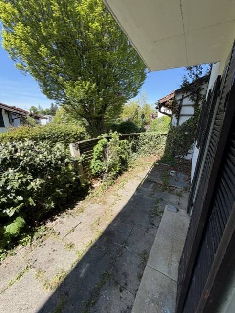 image-72614019