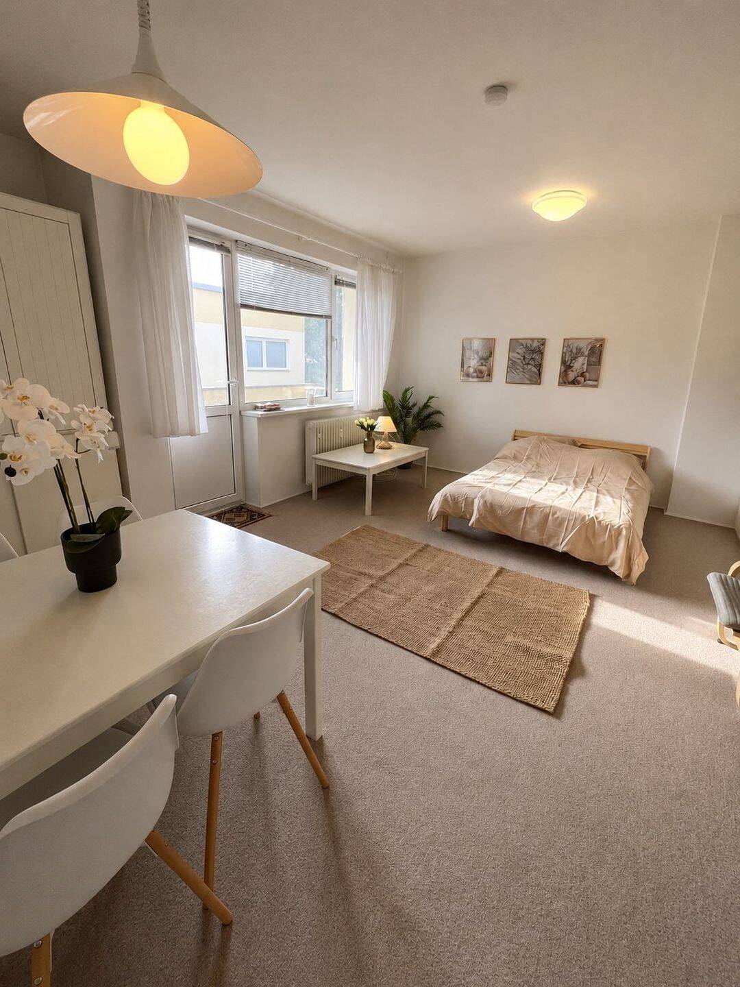 Möblierte helle 1 Zimmer Wohnung mit Balkon, 12167 Berlin (Steglitz-Zehlendorf Steglitz)