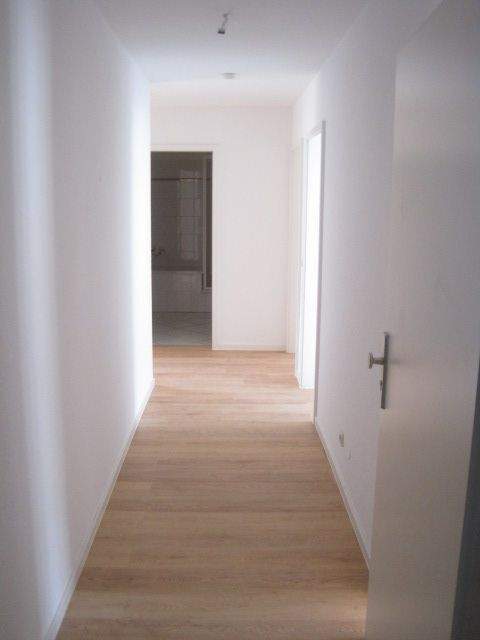 image-72500675