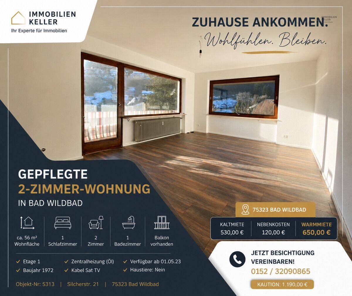 Ruhige Renovierte 2 Zimmer Wohnung, 75323 Bad Wildbad