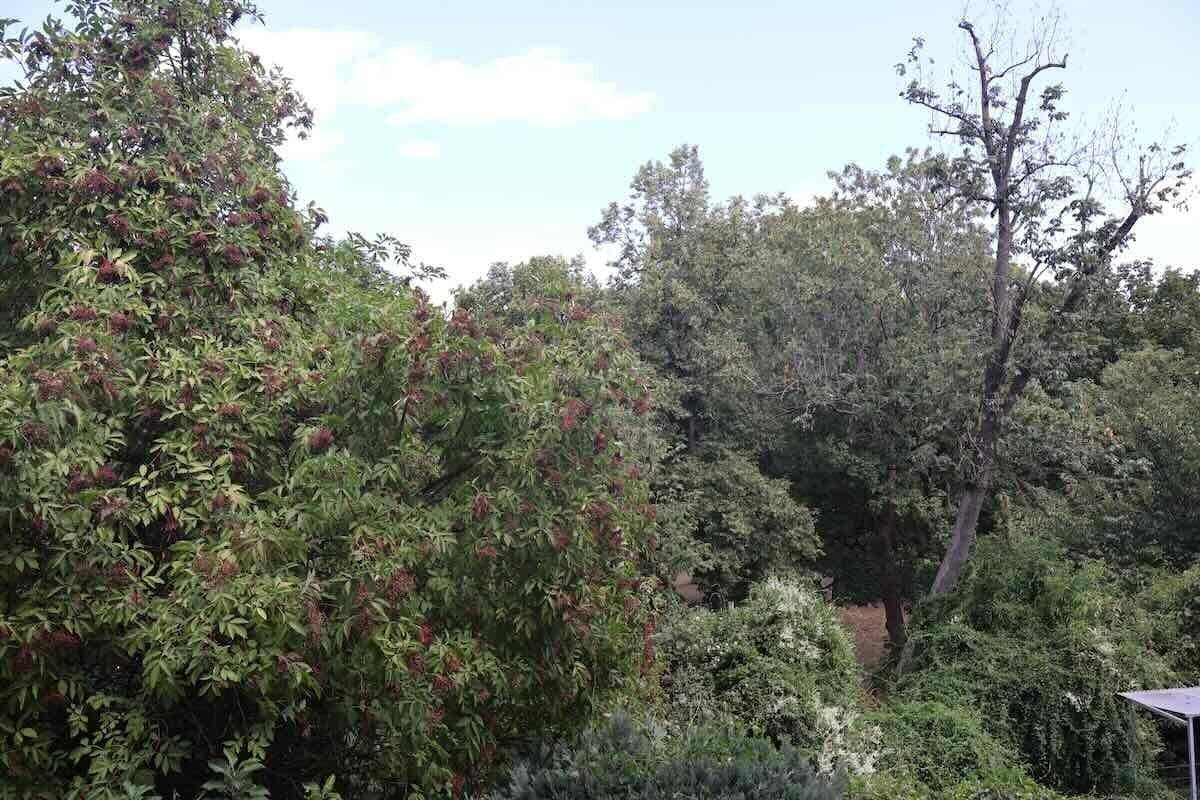100m² Wohntraum am Rosenaupark: Balkon, Premium-Küche & TG-Stellplatz inklusive!, 90429 Nürnberg