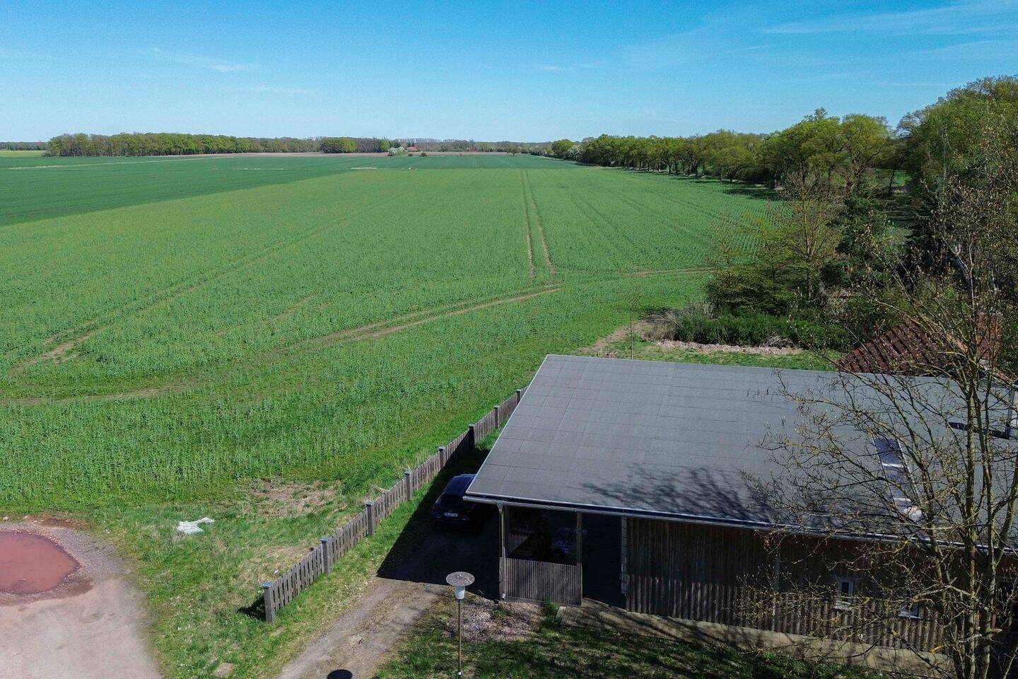 Viel Holz in ländlicher Ruhe: Kernsaniertes Wohnhaus mit tollem Raumklima in Feldrandlage, 39615 Werben (Elbe)